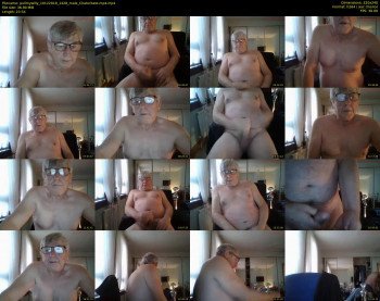 pullmywilly