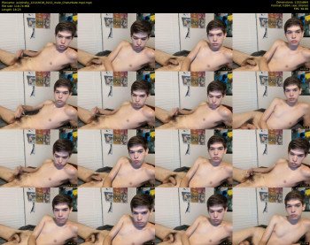 austinshy