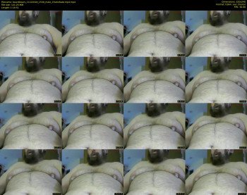bear4bears