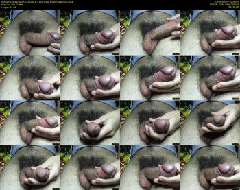 great_bush