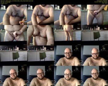 italian_bear