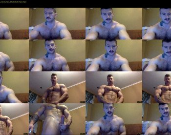 panda_muscle