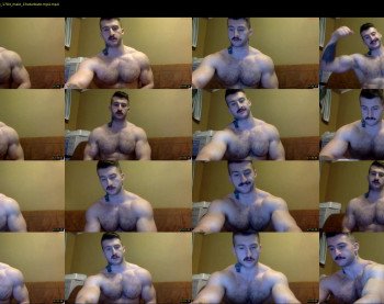 panda_muscle