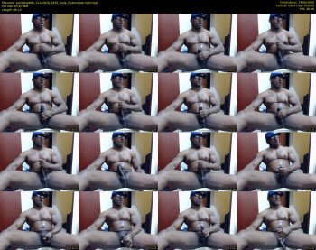 paradise699