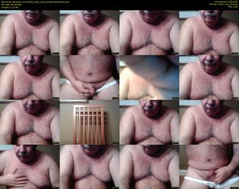 tbear66