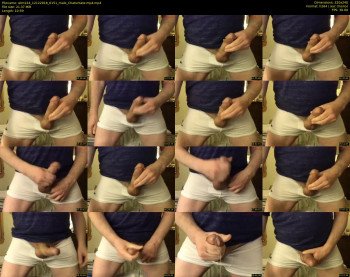 wim224