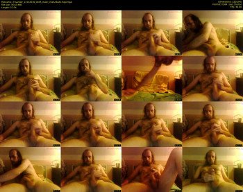 27sander