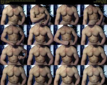bigmusclepecs69