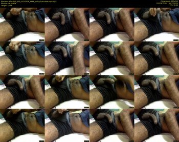 blackbull_193