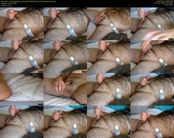 hairychesticles