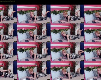 lolla_teylor