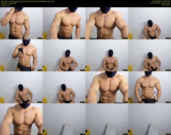 promuscles4u