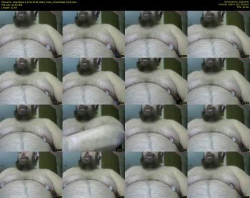 bear4bears