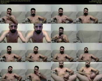 kingcat82