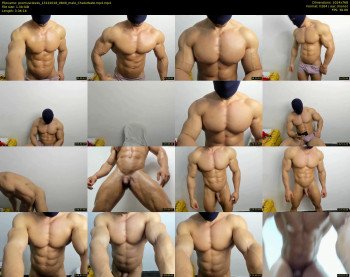 promuscles4u