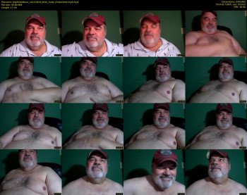 bigdickedbear