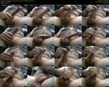 cocktwitches