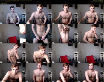 papimodels