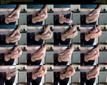 silviocock22