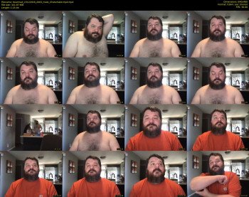 bearmad