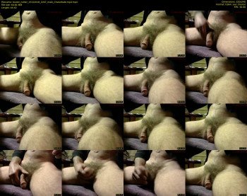 buster_nutter