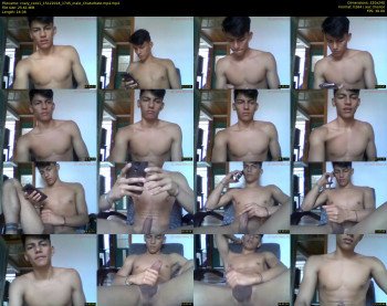 crazy_cock1