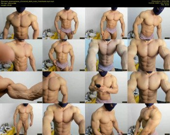 promuscles4u