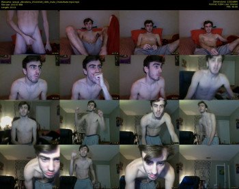 sexual_vibrations