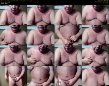 tbear66
