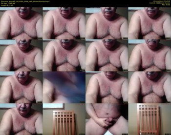 tbear66