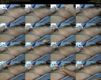arabiancub
