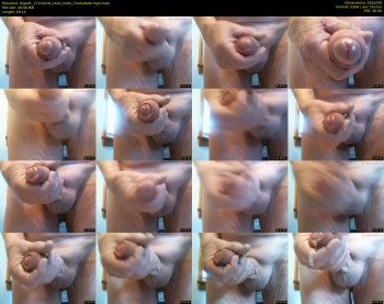 biged1