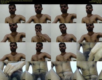 indian_cobra1