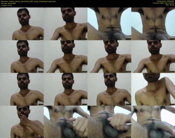 indian_cobra1