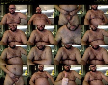 italian_bear