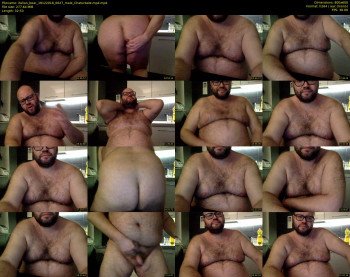 italian_bear