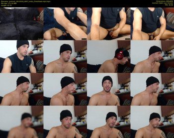 jockcub