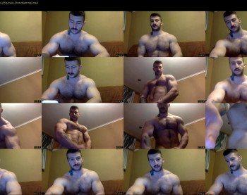 panda_muscle