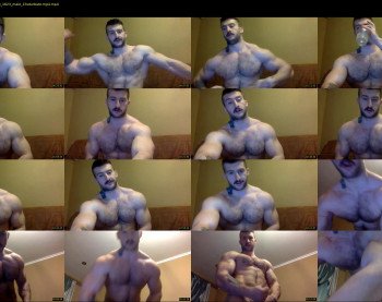 panda_muscle