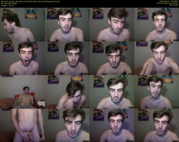 sexual_vibrations