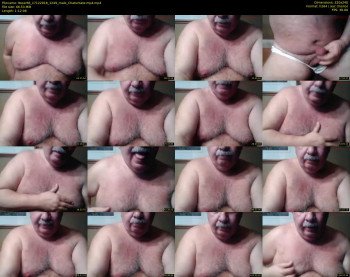 tbear66
