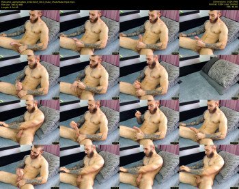 alphamatteo