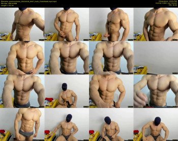 promuscles4u