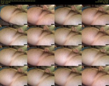 bearcum55744