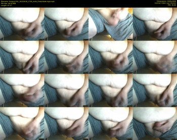 funguy1331