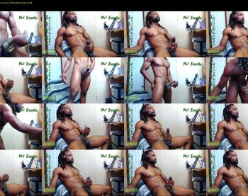 nj_exotic