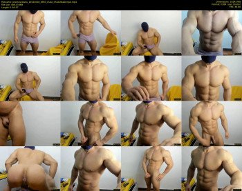 promuscles4u