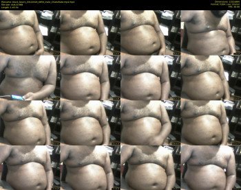 black_bear1