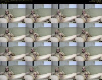 egyptian_cock