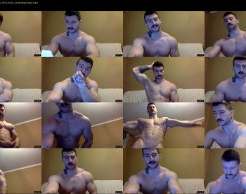 panda_muscle